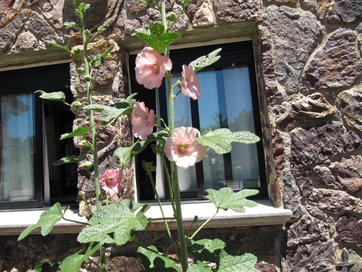 Hotel Las Cavenes Del Cabaco Zewnętrze zdjęcie